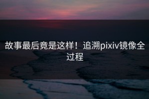 故事最后竟是这样！追溯pixiv镜像全过程