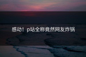 感动！p站全称竟然网友炸锅