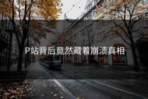 P站背后竟然藏着崩溃真相