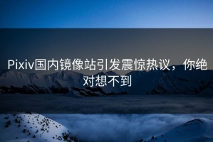 Pixiv国内镜像站引发震惊热议，你绝对想不到