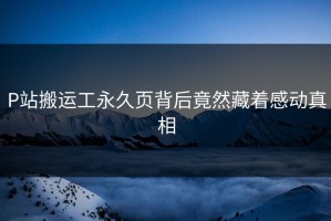 P站搬运工永久页背后竟然藏着感动真相