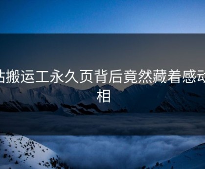 P站搬运工永久页背后竟然藏着感动真相