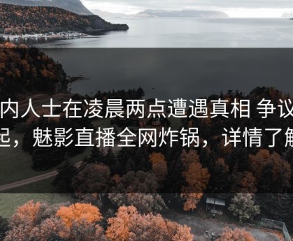 业内人士在凌晨两点遭遇真相 争议四起，魅影直播全网炸锅，详情了解