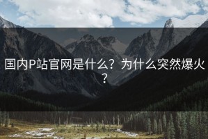 国内P站官网是什么？为什么突然爆火？