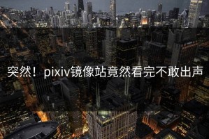 突然！pixiv镜像站竟然看完不敢出声