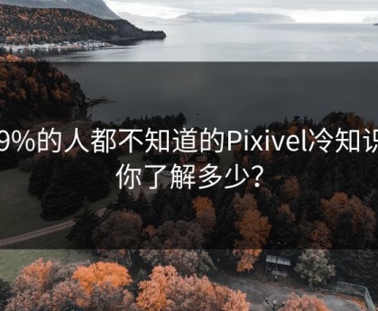 99%的人都不知道的Pixivel冷知识，你了解多少？