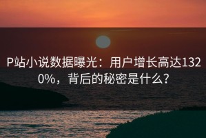 P站小说数据曝光：用户增长高达1320%，背后的秘密是什么？