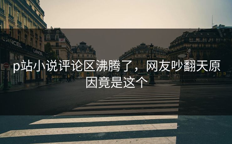 p站小说评论区沸腾了，网友吵翻天原因竟是这个