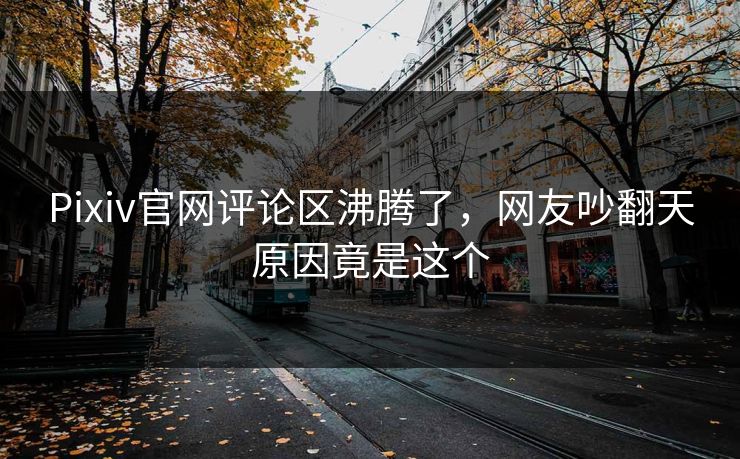 Pixiv官网评论区沸腾了，网友吵翻天原因竟是这个