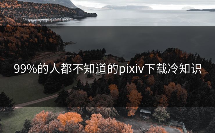 99%的人都不知道的pixiv下载冷知识