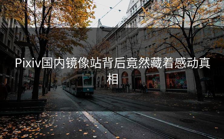 Pixiv国内镜像站背后竟然藏着感动真相