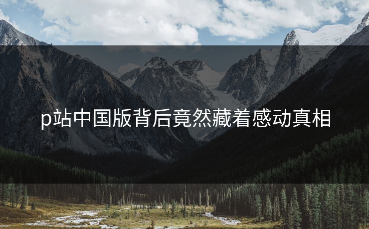 p站中国版背后竟然藏着感动真相