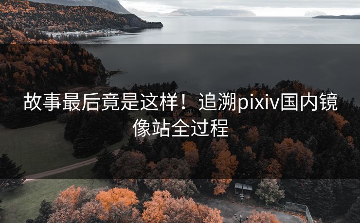 故事最后竟是这样！追溯pixiv国内镜像站全过程