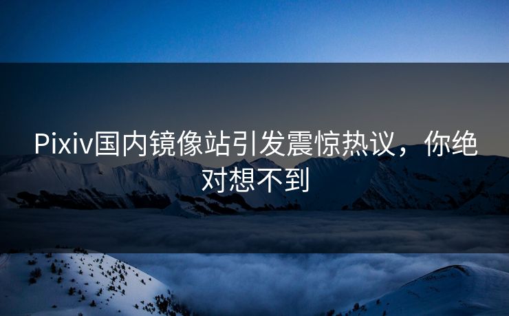 Pixiv国内镜像站引发震惊热议，你绝对想不到