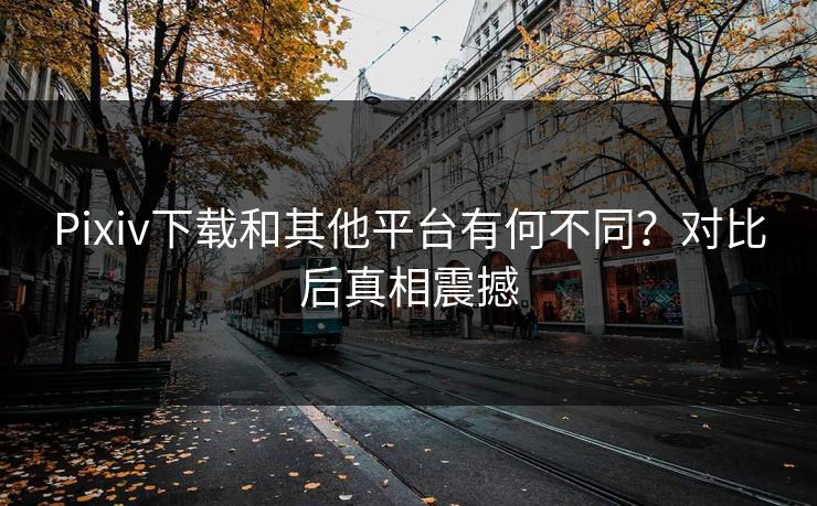 Pixiv下载和其他平台有何不同？对比后真相震撼