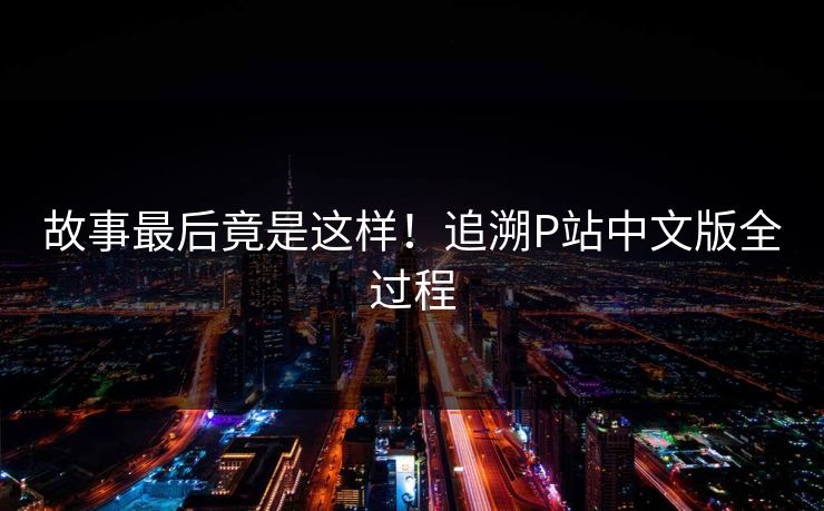 故事最后竟是这样！追溯P站中文版全过程