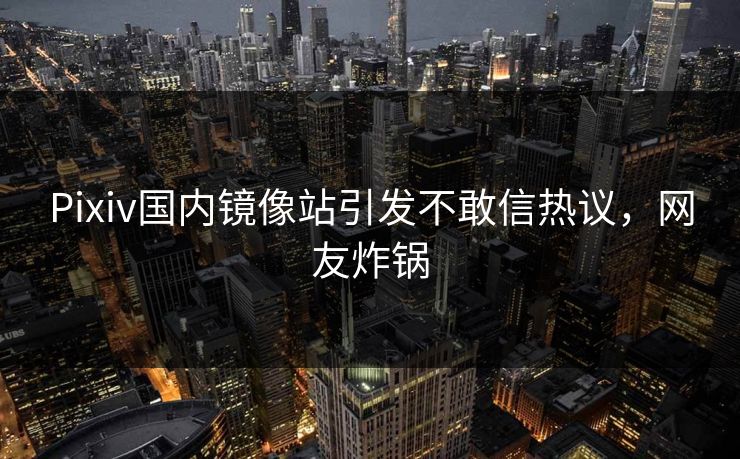 Pixiv国内镜像站引发不敢信热议，网友炸锅