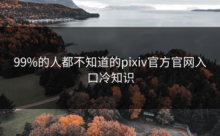 99%的人都不知道的pixiv官方官网入口冷知识
