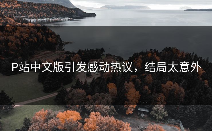 P站中文版引发感动热议，结局太意外