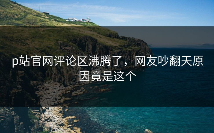 p站官网评论区沸腾了，网友吵翻天原因竟是这个