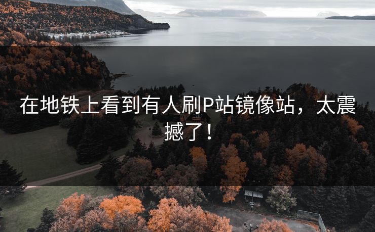 在地铁上看到有人刷P站镜像站，太震撼了！