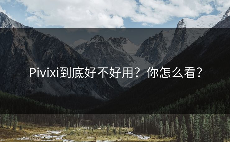 Pivixi到底好不好用？你怎么看？