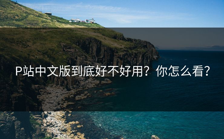 P站中文版到底好不好用？你怎么看？