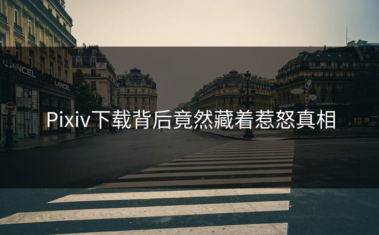 Pixiv下载背后竟然藏着惹怒真相
