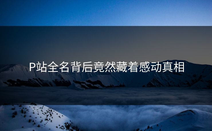 P站全名背后竟然藏着感动真相