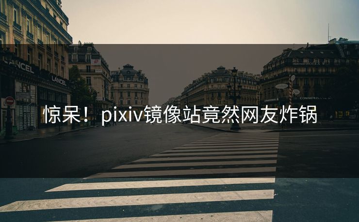 惊呆！pixiv镜像站竟然网友炸锅