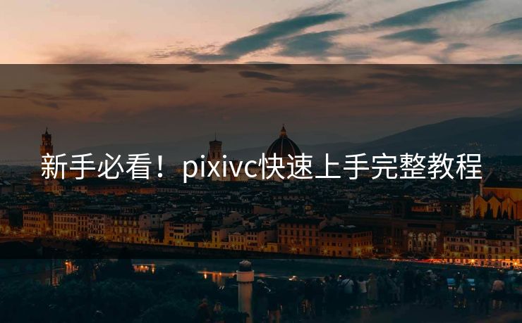 新手必看！pixivc快速上手完整教程