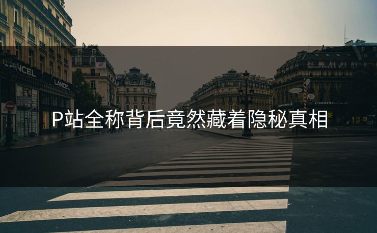 P站全称背后竟然藏着隐秘真相