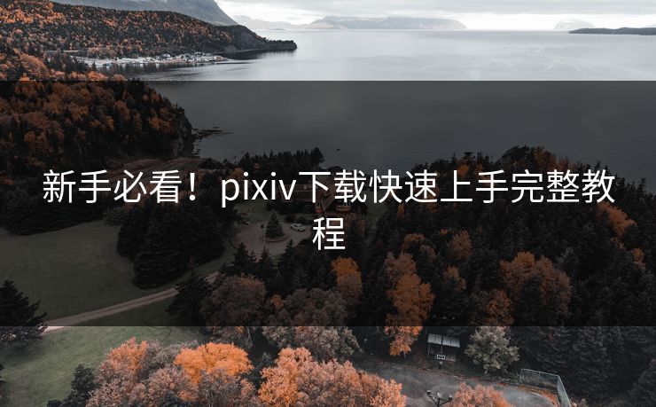 新手必看！pixiv下载快速上手完整教程