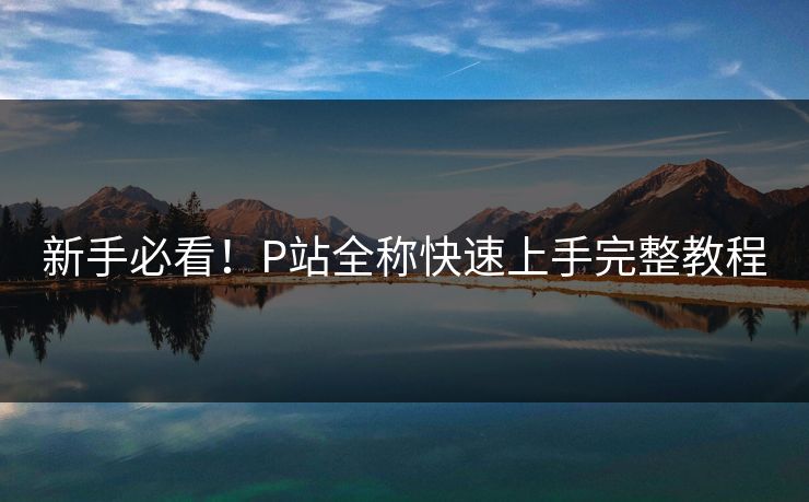 新手必看！P站全称快速上手完整教程