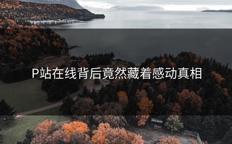 P站在线背后竟然藏着感动真相