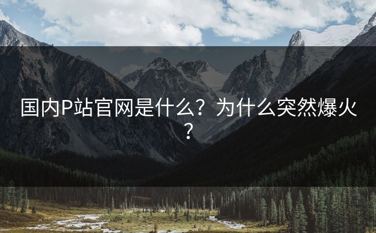 国内P站官网是什么？为什么突然爆火？