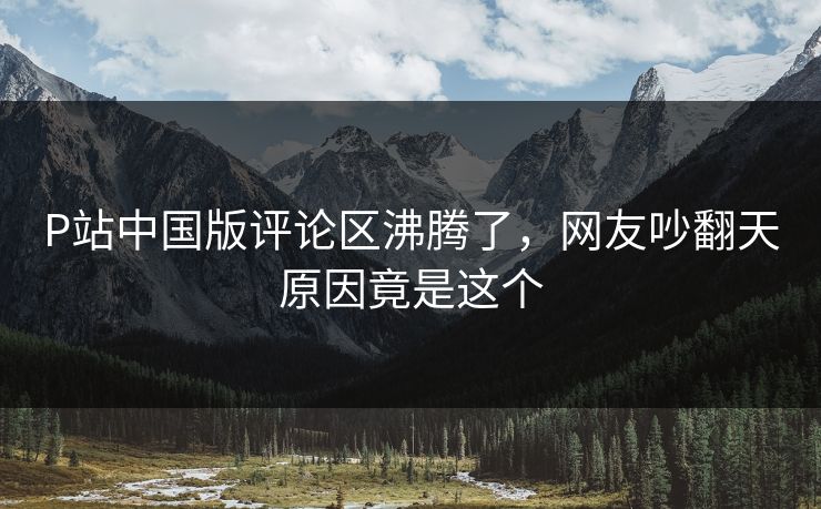 P站中国版评论区沸腾了，网友吵翻天原因竟是这个