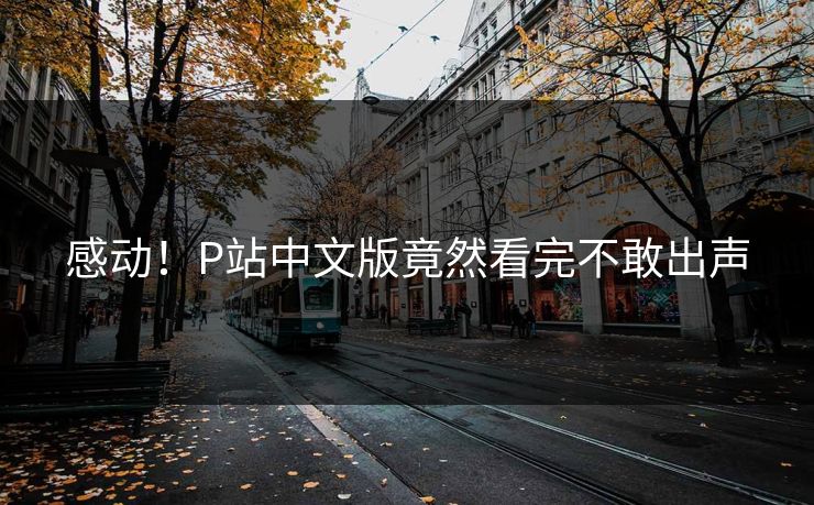 感动！P站中文版竟然看完不敢出声