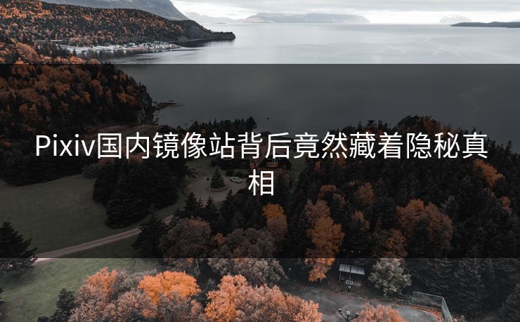 Pixiv国内镜像站背后竟然藏着隐秘真相