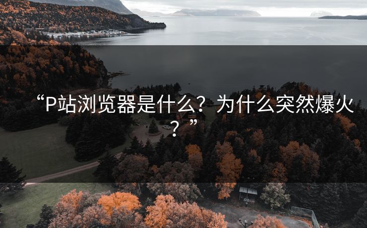 “P站浏览器是什么？为什么突然爆火？”