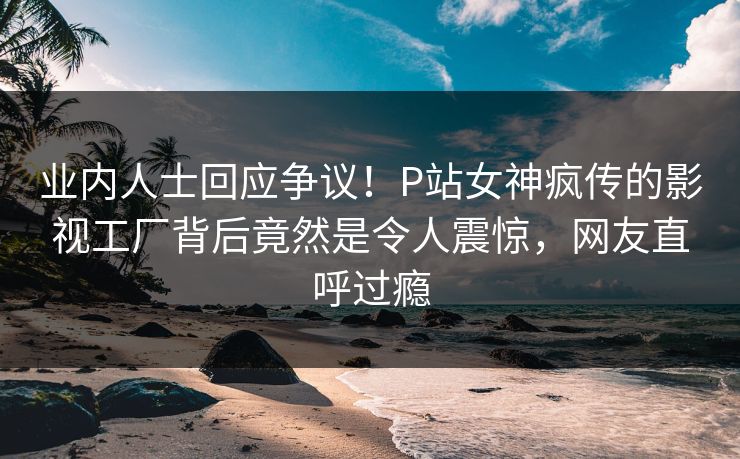 业内人士回应争议！P站女神疯传的影视工厂背后竟然是令人震惊，网友直呼过瘾
