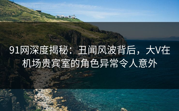 91网深度揭秘：丑闻风波背后，大V在机场贵宾室的角色异常令人意外